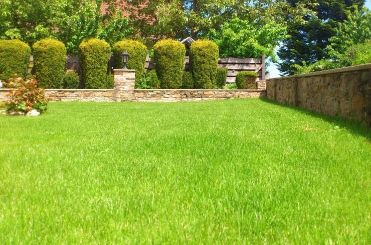 David's Lawn Care Service