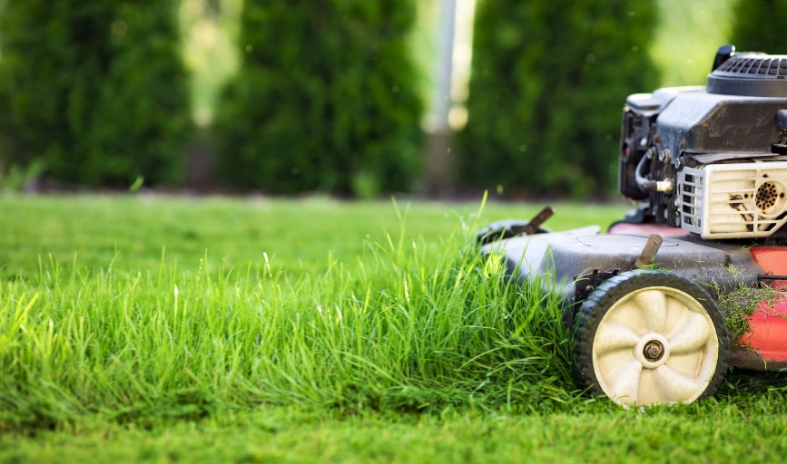 David's Lawn Care Service