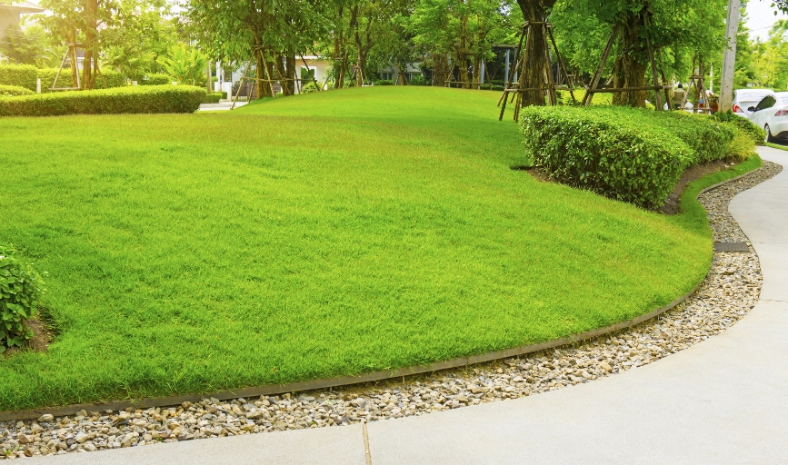 David's Lawn Care Service