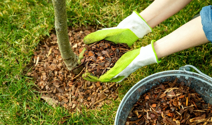 Mulching Services